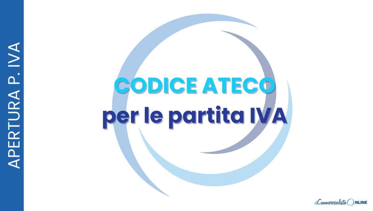 codice ateco per partite iva